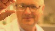 Karsten Schwanke mit dem Dünnschliff einer Rippe. Der Dünnschliff ist nur ein Fünfzigtausendstel Millimeter dünn. Karsten Schwanke mit dem Dünnschliff einer Rippe. Der Dünnschliff ist nur ein Fünfzigtausendstel Millimeter dünn.