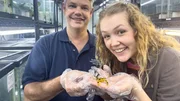 Froschforscher Brian zeigt Nina das Nationaltier Panamas: Den "Goldenen Frosch", den es in der Wildnis leider nicht mehr gibt. Froschforscher Brian zeigt Nina das Nationaltier Panamas: Den "Goldenen Frosch", den es in der Wildnis leider nicht mehr gibt.