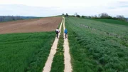 Radfahrer.