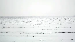 Das in der Ukraine spielende Drama "STEPNE" von Regisseurin Maryna Vroda spielt inmitten atemberaubender ukrainischer Winterlandschaften, verschwindender D&ouml;rfer und aufkommender Entfremdung zwischen den Menschen in der postsowjetischen Gesellschaft. Eine Geschichte &uuml;ber den Alltag in einem Land, das immer mehr zerf&auml;llt. In einer Zeit noch vor dem russischen Angriffskrieg gegen die Ukraine. - Verschneite Winterlandschaft in der Ukraine.