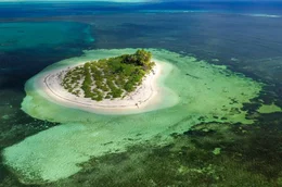 Die Insel Bijoutier stellt als fast v&ouml;llig unber&uuml;hrtes Mini-&Ouml;kosystem einen R&uuml;ckzugsort f&uuml;r Meeresschildkr&ouml;ten und Seev&ouml;gel dar.