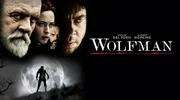 Wolfman - Artwork