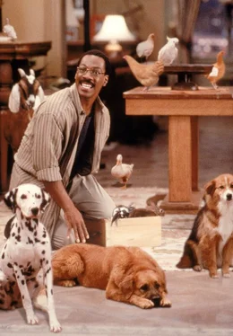 Dr. Dolittle (Eddie Murphy) kann sich &uuml;ber gen&uuml;gend Patienten nicht beklagen.