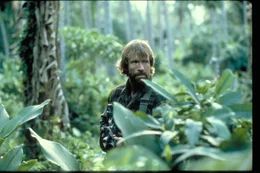 Braddock (Chuck Norris)