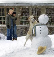 Trotz der Turbulenzen, die Marley in ihr Leben gebracht hat, m&ouml;chten John (Owen Wilson) und Jenny (Jennifer Aniston) ihren Hund nicht mehr missen.
