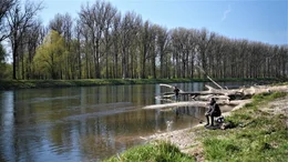 Die Isar ist einer der letzten Wildfl&uuml;sse Europas. Im M&uuml;ndungsgebiet breitet sie sich aus, wird langsamer, bis sie bei Deggendorf in die Donau flie&szlig;t.