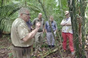 In Französisch-Guayana weisen Archäologen nun nach, dass das Amazonasbecken in Wirklichkeit gar nicht so unberührt war. Ihre Forschungen haben ergeben, dass das Gebiet dicht besiedelt war, und zwar von Menschen, die das Land bestellt und genutzt haben. In Französisch-Guayana weisen Archäologen nun nach, dass das Amazonasbecken in Wirklichkeit gar nicht so unberührt war. Ihre Forschungen haben ergeben, dass das Gebiet dicht besiedelt war, und zwar von Menschen, die das Land bestellt und genutzt haben.