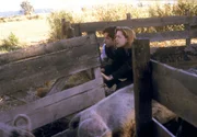 Fox Mulder (David Duchovny, l.); Dana Scully (Gillian Anderson, r.) Fox Mulder (David Duchovny, l.); Dana Scully (Gillian Anderson, r.)