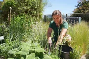 Die G&auml;rtnerinnen auf der Garten Tulln pr&auml;sentieren Zeigerpflanzen, die R&uuml;ckschl&uuml;sse auf Bodenarten wie magere, n&auml;hrstoffreiche, feuchte, trockene oder verdichtete Standorte zulassen.