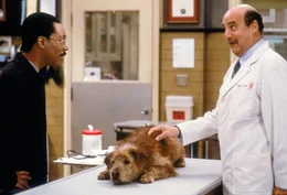Dr. Dolittle (Eddie Murphy, li.) bringt seinen Hund Lucky zu einem Tierarzt und erkl&auml;rt dem m&uuml;rrischen Veterin&auml;r, was das Problem des Hundes ist.