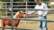 Bernd Hackl mit Pony "Gipsy". Bernd Hackl mit Pony "Gipsy".