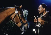 Dr. Dolittle (Eddie Murphy) muss einem Pferd eine Impfung verabreichen.