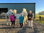 The Pet Psychic: What's Your Dog Thinking?  Pet Psychic Beth Lee-Crowther with contributors, Rebecca and Joseph Fossett and Kokoso and Bertoe the camels