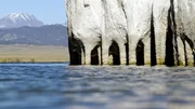 Als der Wasserstand des Lake Crowley bei einer Dürreperiode sank, tauchten auf einmal bizarre Säulen auf, die sich vorher unter der Wasseroberfläche befanden. Als der Wasserstand des Lake Crowley bei einer Dürreperiode sank, tauchten auf einmal bizarre Säulen auf, die sich vorher unter der Wasseroberfläche befanden.