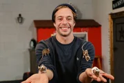 Tobi und ein paar echte Filmstars: Schauspiel-Mäuse! Tobi und ein paar echte Filmstars: Schauspiel-Mäuse!