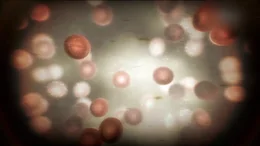 Reenactment "Globule" unter einem Mikroskop.