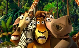 L-R: Melman, Marty, Alex und Gloria