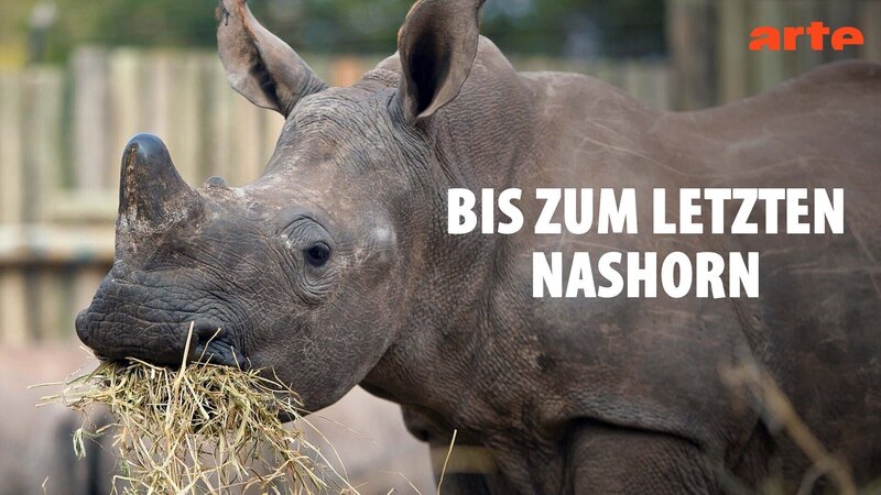 Bis zum letzten Nashorn: Auf der Spur der Wildtier-Mafia Südafrikas (AUS, 2022)
