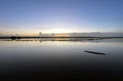 Die Sümpfe von Cotentin und Bessin in der Normandie sind riesige Feuchtgebiete – ein wahrer Zufluchtsort für Zugvögel und ein riesiges Reservoir an biologischer Vielfalt. Die Sümpfe von Cotentin und Bessin in der Normandie sind riesige Feuchtgebiete – ein wahrer Zufluchtsort für Zugvögel und ein riesiges Reservoir an biologischer Vielfalt.