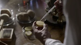 Reenactment Robert Koch benutzte Kartoffelscheiben zur Bakterienzucht.