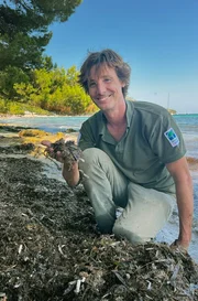Marcial Bardolet kämpft auf Mallorca für den Schutz und die Erhaltung des Seegrases im Mittelmeer. Marcial Bardolet kämpft auf Mallorca für den Schutz und die Erhaltung des Seegrases im Mittelmeer.