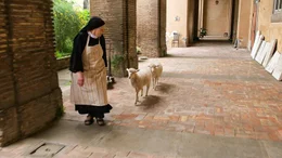 Die zwei &bdquo;L&auml;mmer des Papstes&ldquo; folgen einer Benediktinerin zur Schafschur.