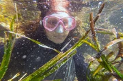 Ozeanologin Laura Royo unter Wasser auf einer Seegraswiese Ozeanologin Laura Royo unter Wasser auf einer Seegraswiese
