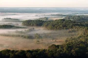 Der New Forest im Süden Englands ist der meistbesuchte britische Nationalpark. Der New Forest im Süden Englands ist der meistbesuchte britische Nationalpark.