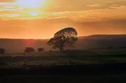Abendstimmung im Northumberland-Nationalpark Abendstimmung im Northumberland-Nationalpark