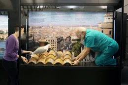 Maurizio platziert ein Ausstellungsst&uuml;ck im Naturhistorischen Museum Rom
