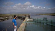 Amerigo ist Teil einer kleinen Fischerei-Genossenschaft in der Lagune S&rsquo;Ena Arrubia am Golf von Oristano.