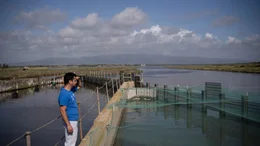 Amerigo ist Teil einer kleinen Fischerei-Genossenschaft in der Lagune S&rsquo;Ena Arrubia am Golf von Oristano.