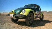 Baja Bug. Baja Bug.