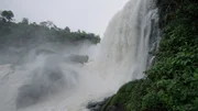 Die gewaltigen Wasserfälle „Saltos de Monday“ bieten ein lebendiges Ökosystem für Tiere und Pflanzen der Region. Die gewaltigen Wasserfälle „Saltos de Monday“ bieten ein lebendiges Ökosystem für Tiere und Pflanzen der Region.