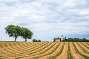 Der Leuchtturm von Gedser vor einem Feld auf Falster, D&auml;nemark.