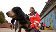 ARD/NDR SPÜRNASE, FÄHRTENSAU & CO. (13), "Sieben Welpen für Perle", am Montag um 16:10 Uhr im ERSTEN. Silke Ahlquist und Alizee haben die Aufnahmeprüfung bestanden. ARD/NDR SPÜRNASE, FÄHRTENSAU & CO. (13), "Sieben Welpen für Perle", am Montag um 16:10 Uhr im ERSTEN. Silke Ahlquist und Alizee haben die Aufnahmeprüfung bestanden.