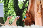 Die Erdm&auml;nnchen treffen einen B&auml;r.