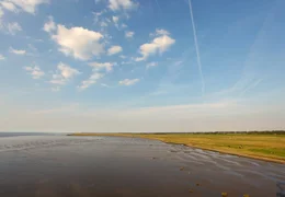 Natursch&uuml;tzer hoffen, dass immer mehr Lachse in die Fl&uuml;sse Niedersachsens zur&uuml;ckkehren, um dort wieder zu laichen, wo sie vor einigen Jahren ausgesetzt wurden.