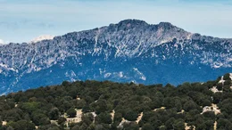 Kaum eine Landschaft in Europa ist so vielf&auml;ltig wie die Sardiniens. Der Supramonte liegt in der Barbagia und ist nach dem Gennargentu das zweith&ouml;chste Gebirge der Insel.