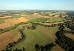 Naturnahe und vor allem barrierefreie Fl&uuml;sse, wie die Oker, sind die Voraussetzung f&uuml;r die R&uuml;ckkehr der Lachse nach Norddeutschland.
