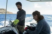 Marios Antoniou und sein Neffe sortieren vor der K&uuml;ste Zyperns einen Fang von Silberwangen-Kr&ouml;tenfischen aus, die sich im Mittelmeer ausbreiten und die einheimische Arten verdr&auml;ngen.