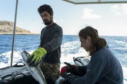 Marios Antoniou und sein Neffe sortieren vor der K&uuml;ste Zyperns einen Fang von Silberwangen-Kr&ouml;tenfischen aus, die sich im Mittelmeer ausbreiten und die einheimische Arten verdr&auml;ngen.