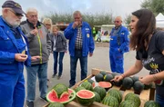 Auf den Dithmarscher Kohltagen bietet Inga Kreutzfeldt die Wassermelonen aus dem Kronprinzenkoog zum Probieren an, damit sie in der Region bekannter werden. Auf den Dithmarscher Kohltagen bietet Inga Kreutzfeldt die Wassermelonen aus dem Kronprinzenkoog zum Probieren an, damit sie in der Region bekannter werden.