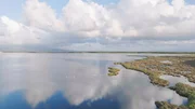 Sardinien ist der ideale Lebensraum f&uuml;r rosa Flamingos.