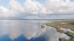 Sardinien ist der ideale Lebensraum f&uuml;r rosa Flamingos.