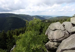 Im Nationalpark Harz liegt die Quelle der Oker. Einst war dieser Bach die Kinderstube der Lachse in Niedersachsen.