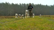 ARD/NDR SPÜRNASE, FÄHRTENSAU & CO. (14), "Maja im Hundesalon", am Dienstag um 16:10 Uhr im ERSTEN. Elmar Fust mit den Jüngsten seines 27-köpfigen Huskierudels. ARD/NDR SPÜRNASE, FÄHRTENSAU & CO. (14), "Maja im Hundesalon", am Dienstag um 16:10 Uhr im ERSTEN. Elmar Fust mit den Jüngsten seines 27-köpfigen Huskierudels.