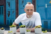 Venusfliegenfallen sind faszinierende Pflanzen. Doch nicht nur ihre Ernährungsweise ist etwas ganz Besonderes. Wissenschaftler:innen fanden heraus: Die Pflanzen können sogar zählen! Wie das funktioniert, zeigt Thomas D bei "Wissen vor acht – Natur". Venusfliegenfallen sind faszinierende Pflanzen. Doch nicht nur ihre Ernährungsweise ist etwas ganz Besonderes. Wissenschaftler:innen fanden heraus: Die Pflanzen können sogar zählen! Wie das funktioniert, zeigt Thomas D bei "Wissen vor acht – Natur".