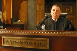 Judge Harkin (Bruce McGill)