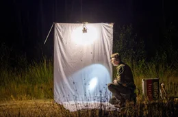Dr. J&ouml;rg Lorenz beim Insekten-Nachtfang. Bestimmt und kartiert K&auml;fer mit Hilfe eines Leuchtpannels.